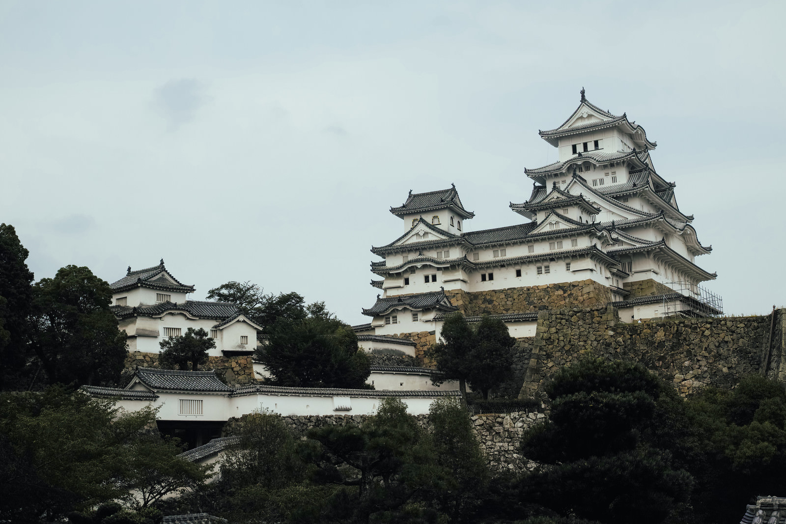 兵庫県