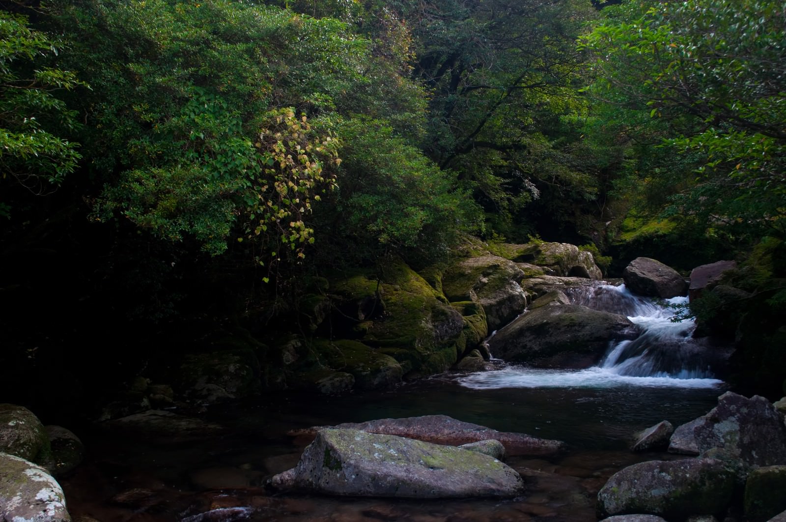 鹿児島県
