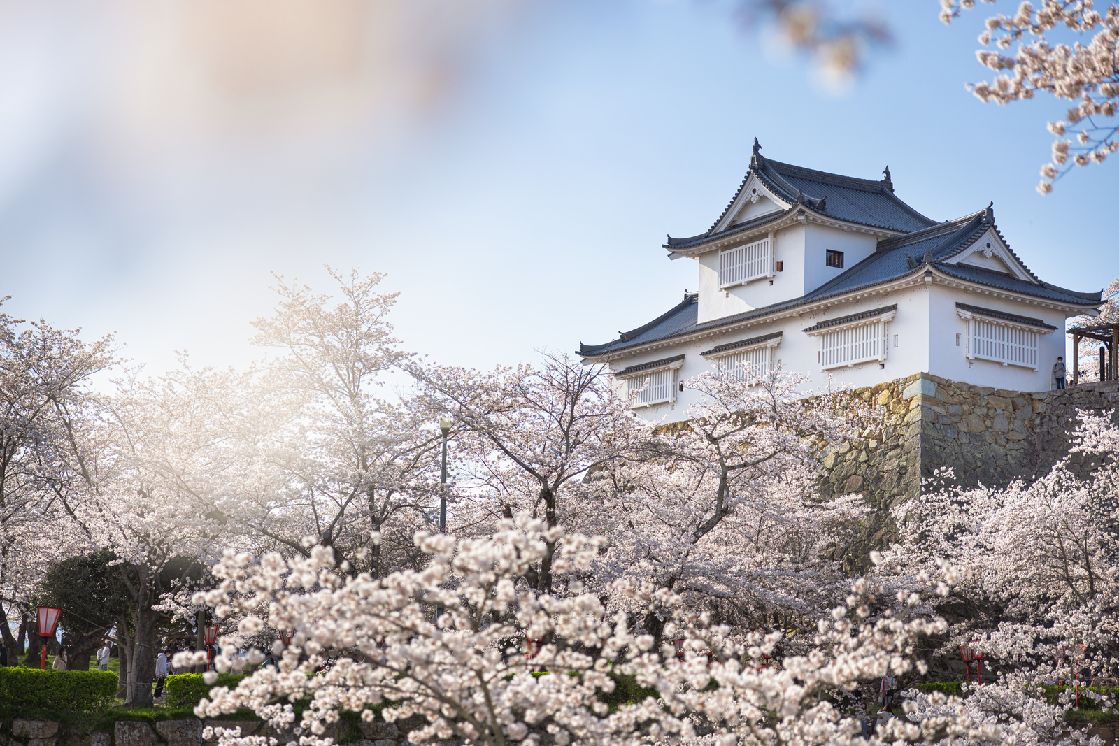 岡山県