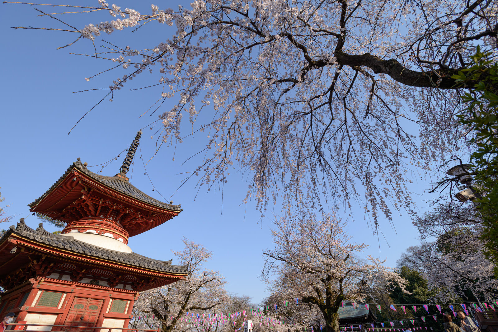 埼玉県